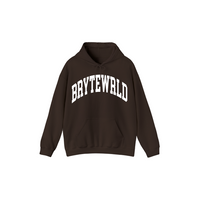 BRYTEWRLD Hoodie